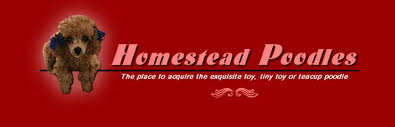 Homestead Poodles Logo