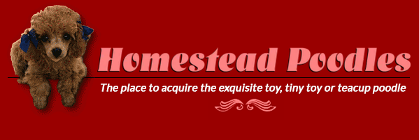 Homestead Poodles Logo